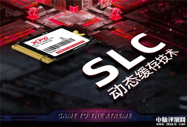 威刚XPG翼龙S55 SSD开售 最大可选2TB售价439元起，权威硬件评测网站,www.dnpcw.com