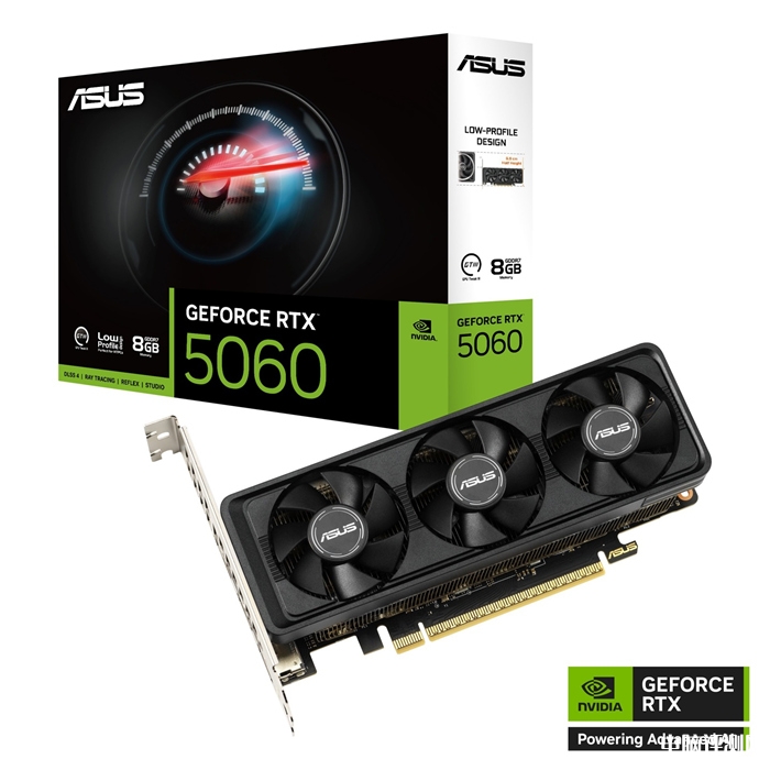 华硕两款GeForce RTX 5060 LP BRK 8GB显卡发布,权威硬件评测网站,www.dnpcw.com